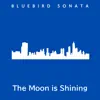 Bluebird Sonata - The Moon is Shining